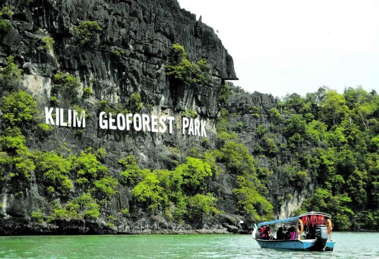 Jelajahi Ekosistem Mangrove yang Memesona di Langkawi